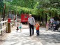 Maj2008 018